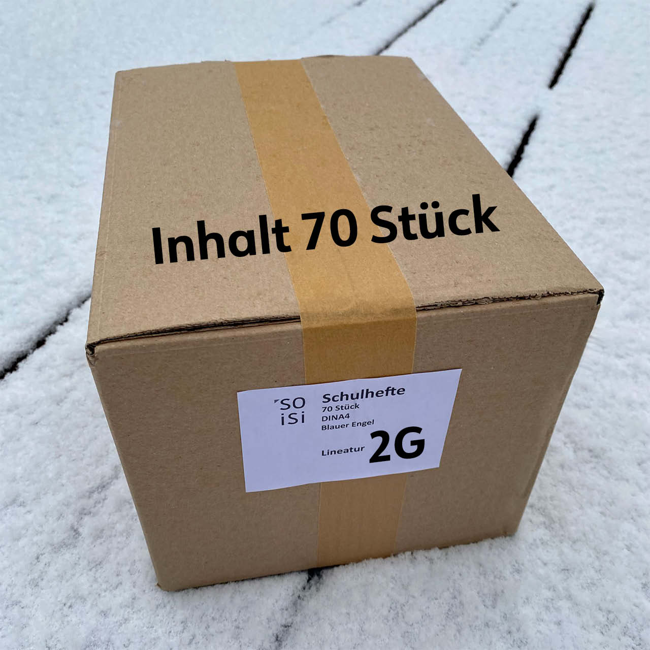 Lineatur 2G (Geschichtenheft für Kl. 2) A4, im Karton