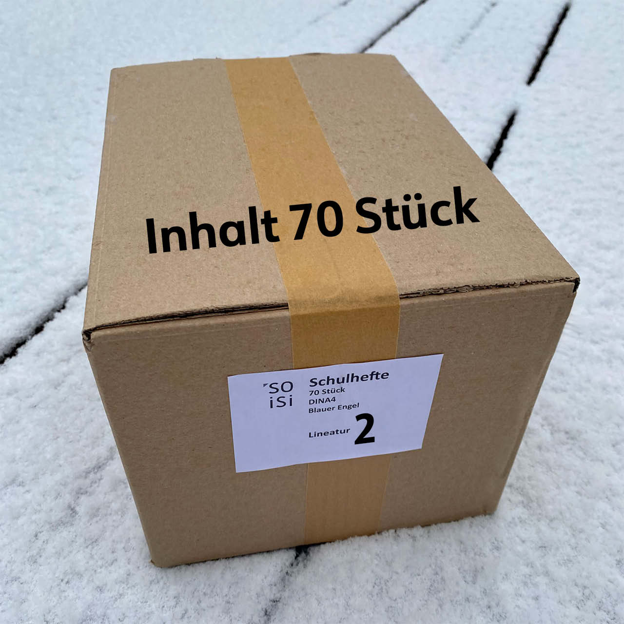 Lineatur 2 (Schreibheft für Klasse 2) A4, im Karton